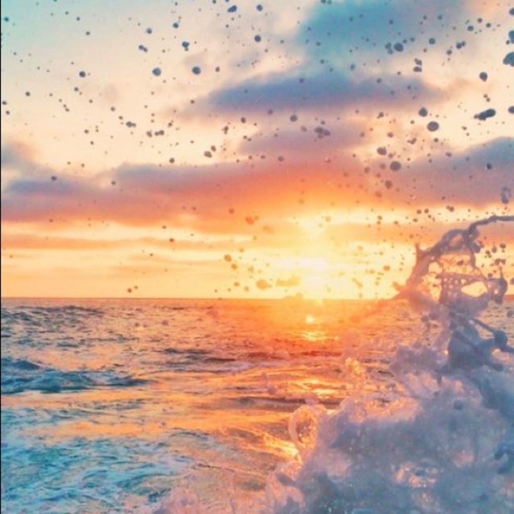 Meet your Posher, Tori